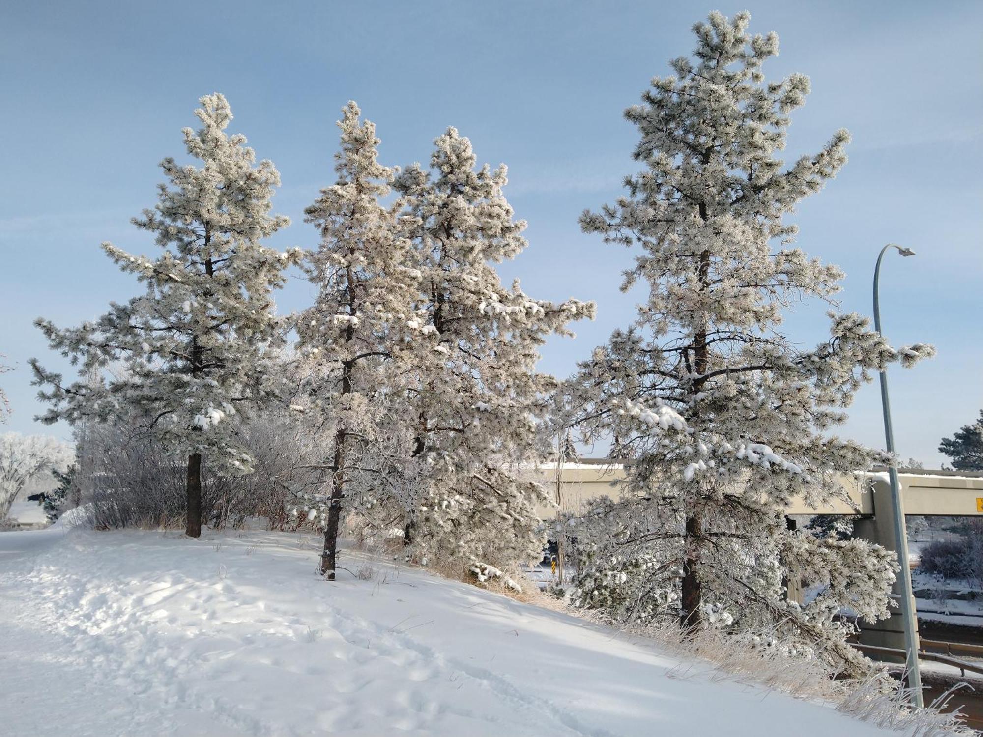 U Of A Homestay, Trails & Whyte Ave Edmonton Ruang foto