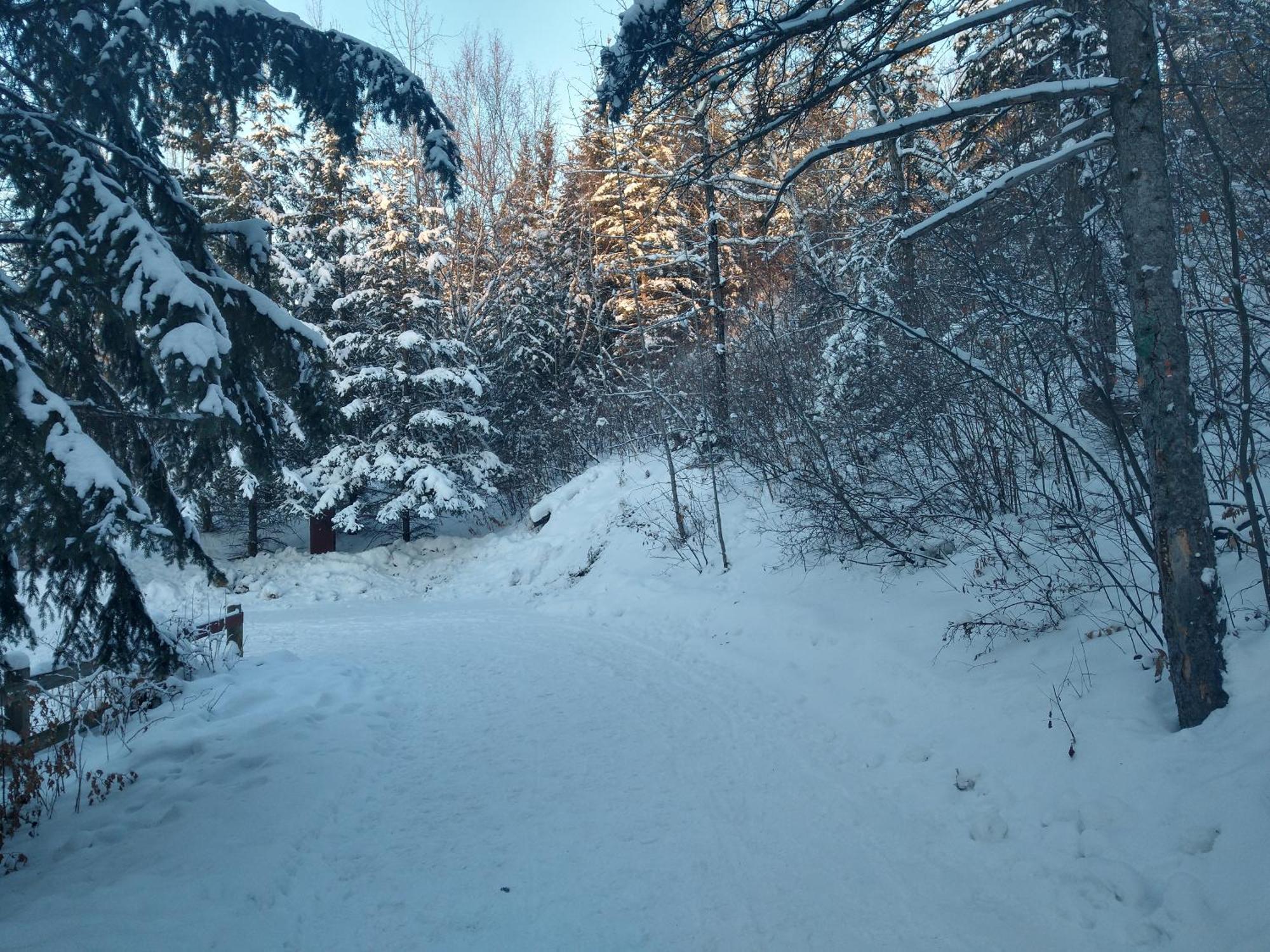U Of A Homestay, Trails & Whyte Ave Edmonton Ruang foto