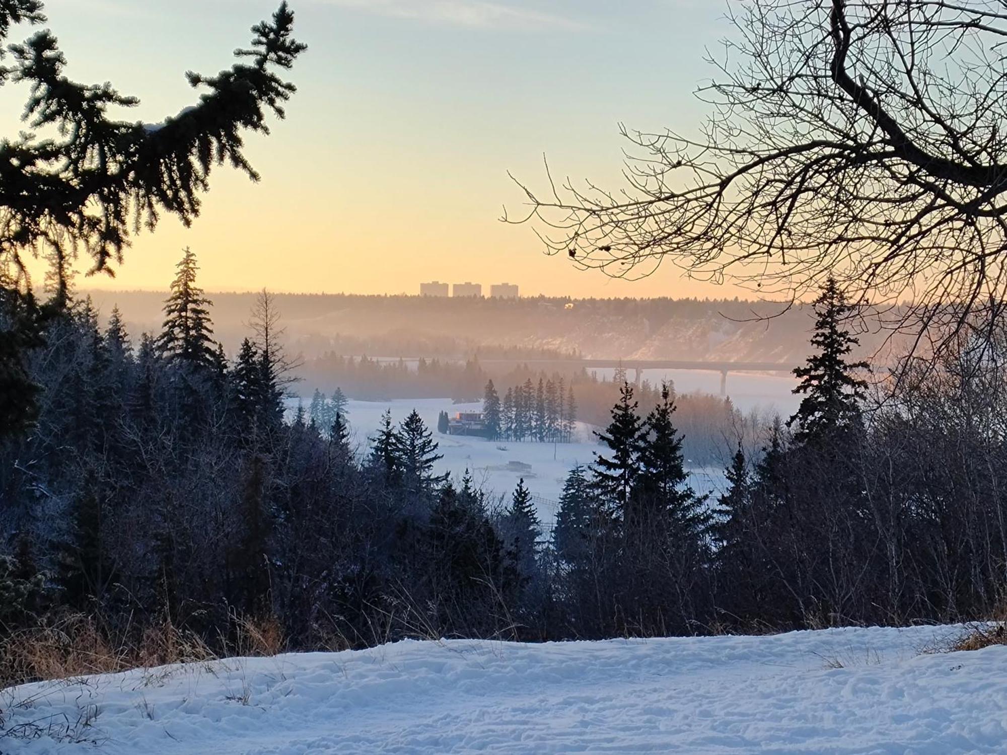U Of A Homestay, Trails & Whyte Ave Edmonton Bagian luar foto